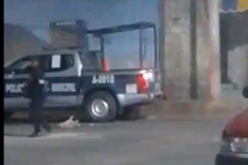Video: Terrible, policías de Ocotlán de Morelos en Oaxaca, se divierten atropellando perrito